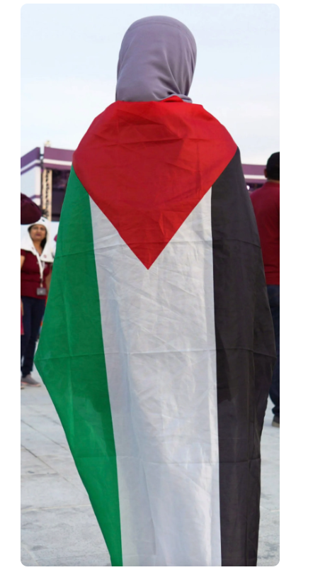 FLAG OF PALESTINE -VISUAL OF RESISTANCE