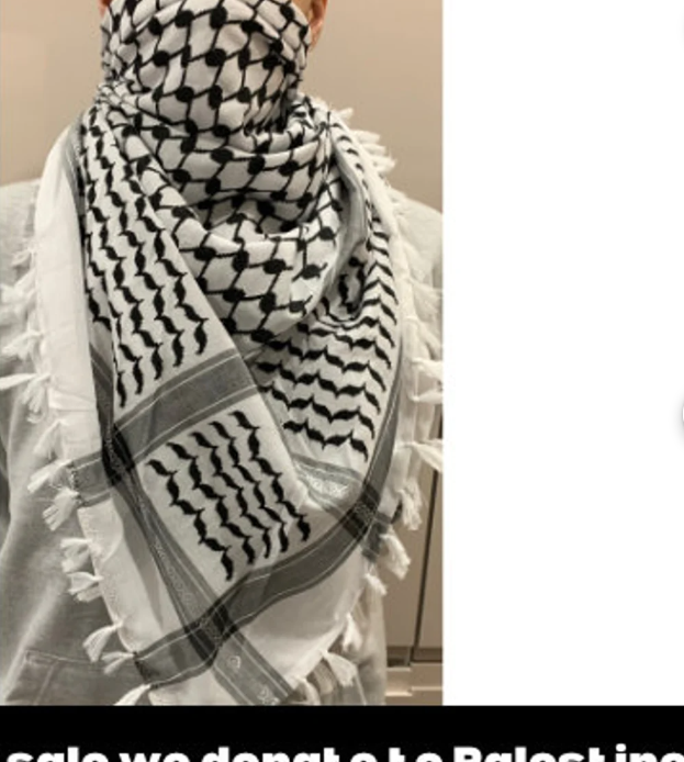 "Falasteen Veil A SYMBOOL OF LEGACY" – Classic Keffiyeh Wrap
