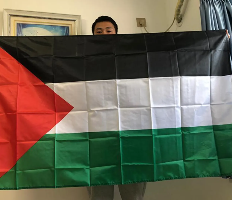 FLAG OF PALESTINE -VISUAL OF RESISTANCE