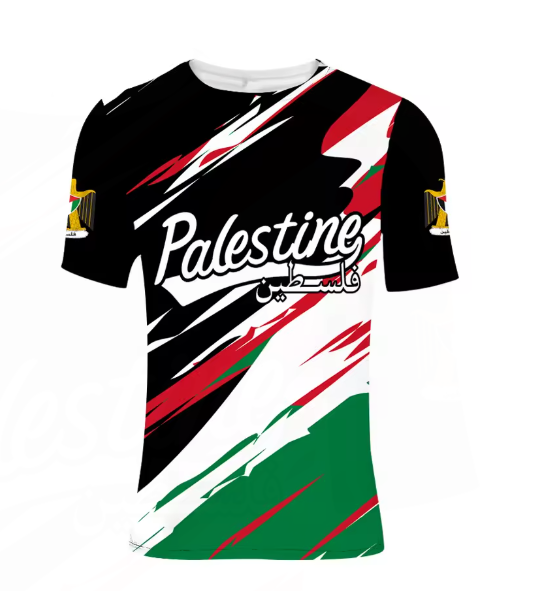 " PALESTINE Valor" – Flag Brushstroke Tee