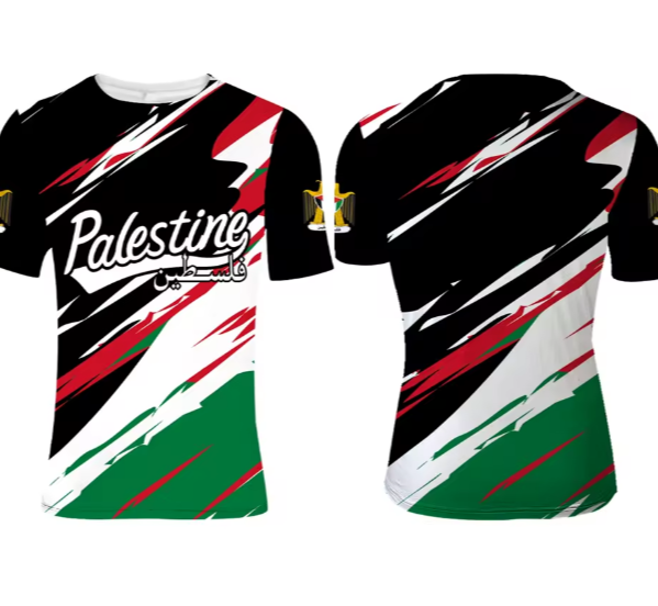 " PALESTINE Valor" – Flag Brushstroke Tee